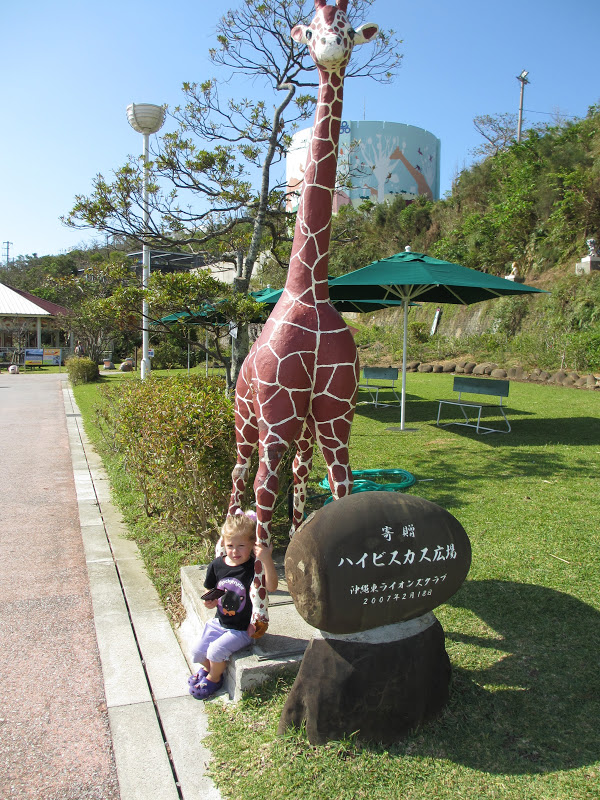 Entertaining Eisenbergs Okinawa Zoo