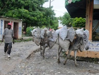 El 25% mayores 15 años sería “analfabetos funcionales”
