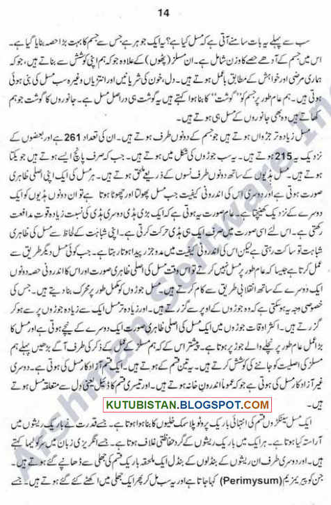 Urdu Beauty Tips Pdf