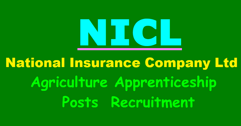 national insurance company limited national insurance company limited