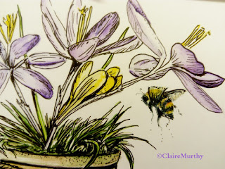 Bumblebee and Garden Flowers : Garden Blog