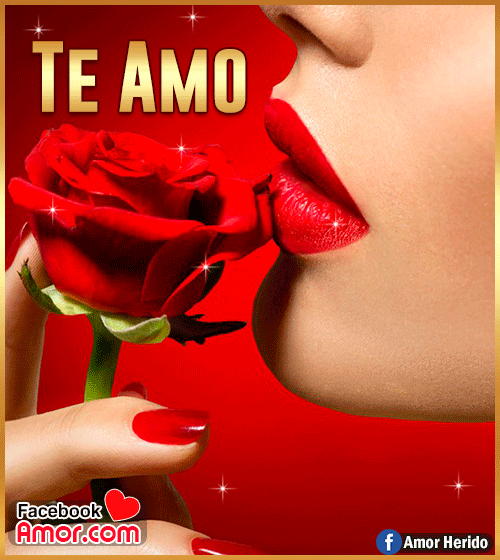 rosa roja te amo rosa roja te amo