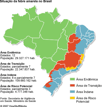 Febre Amarela no Brasil Febre Amarela