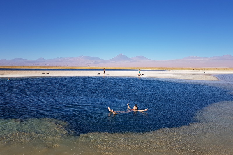 5 Passeios no Atacama imperdíveis Principais passeios no Atacama: 2 Laguna Cejar