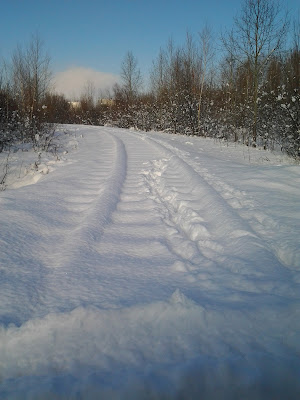 Рыбалка на Амуре зимой