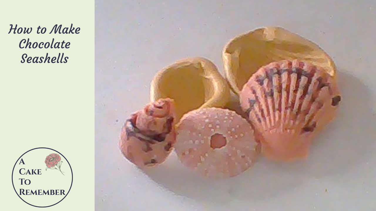 Cake Decorating Video How To Make Painted Chocolate Seashells