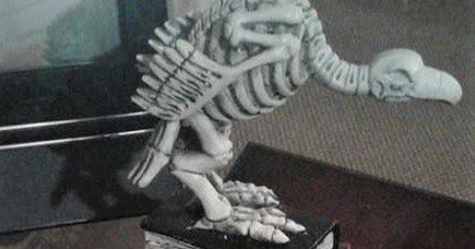 For the Well-Being of All by Bonnie J Taylor