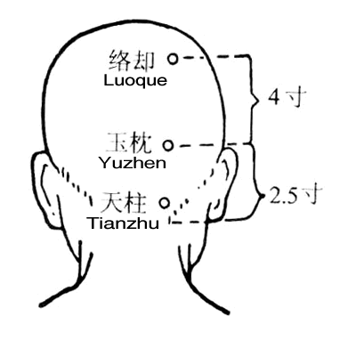 tian zhu point for treatment headache