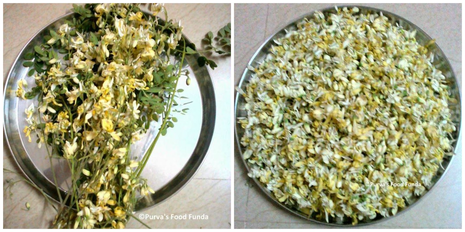 Food Funda Drumstick Flower Dry Curry Shevagyachya Fulanchi Bhaji