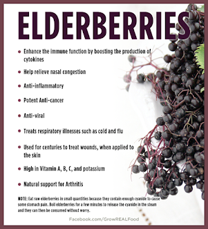 Homemade Organic All Natural Elderberry