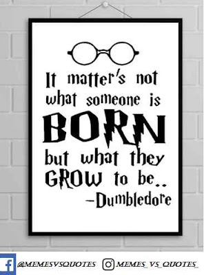 Best Harry Potter Quotes Dumbledore