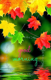 good morning good morning