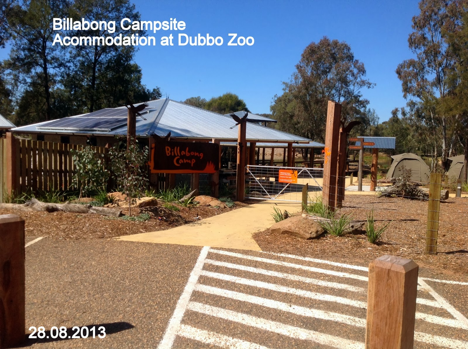 Jan Martin's Travel Blog Dubbo Zoo August 2013