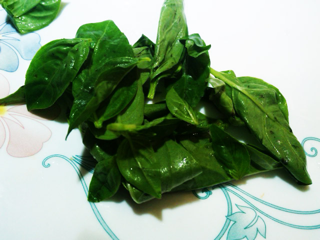 Basil Leaves