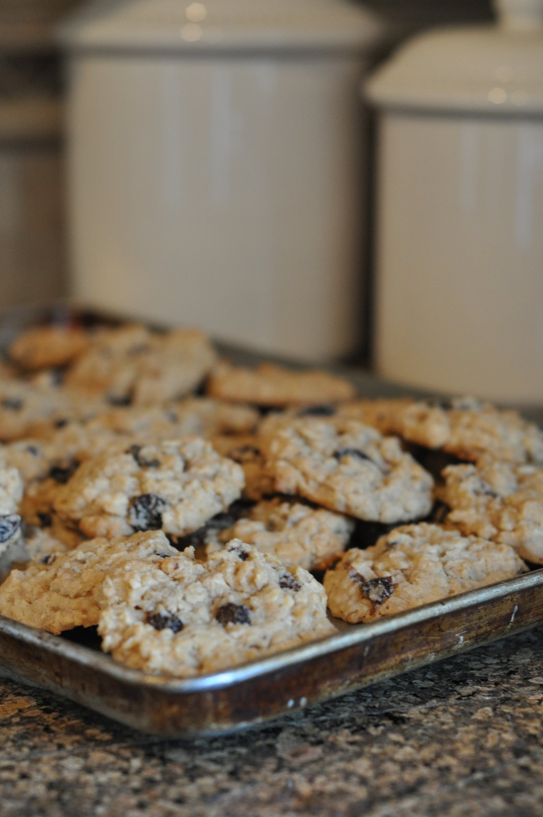Rum Raisin Oatmeal Cookies