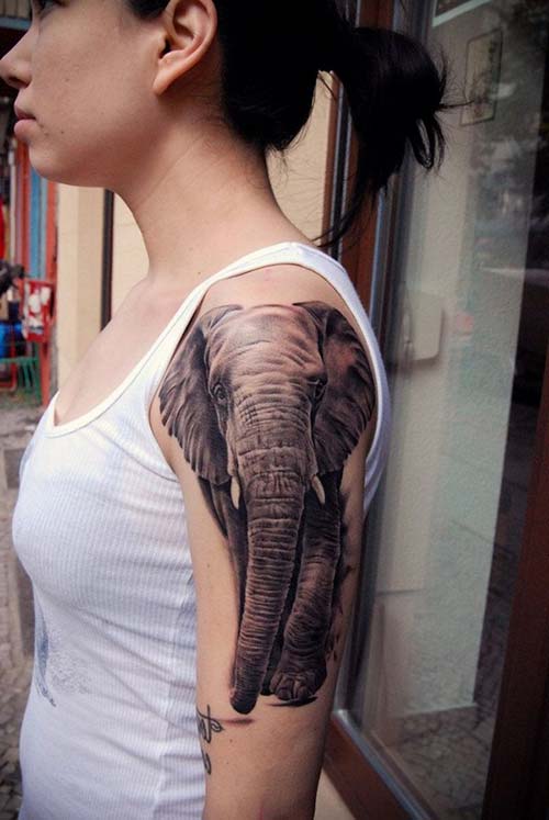 kadın üst kol fil dövmesi woman upper arm elephant tattoo 2 kadın üst kol fil dövmesi woman upper arm elephant tattoo 2