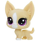 Littlest Pet Shop Series 2 Mini Pack Mayor Perrito (#2-87) Pet