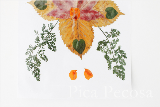 como-hacer-tarjeta-con-hojas-secas-de-otoño-diy-08