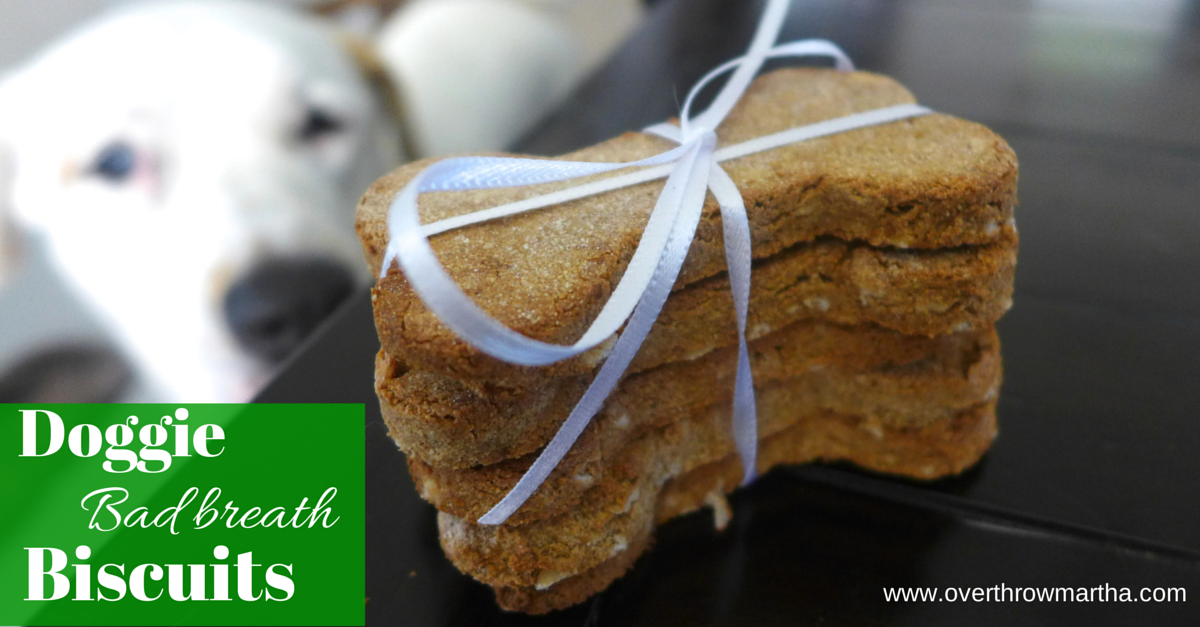 Bad Breath busting biscuits for dogs using peppermint essential oil