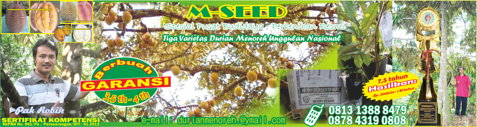 M-SEED -  Spesial Pusat Perbenihan dan Budidaya Tiga Varietas  Durian Menoreh Unggulan Nasional
