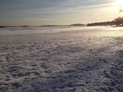 promenad+soligt+%284%29 - Powerwalk i solsken