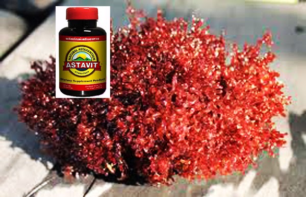 สาหร่ายแดง ASTAVIT: ปัญหาริ้วรอย ป้องกันด้วย สาหร่ายแดงแอสตาวิต Asta Vit