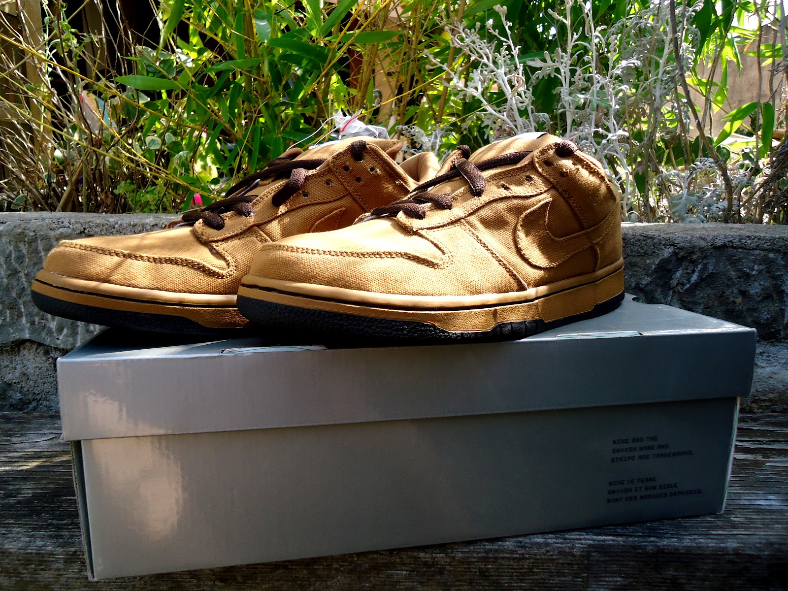 nike dunk sb carhartt