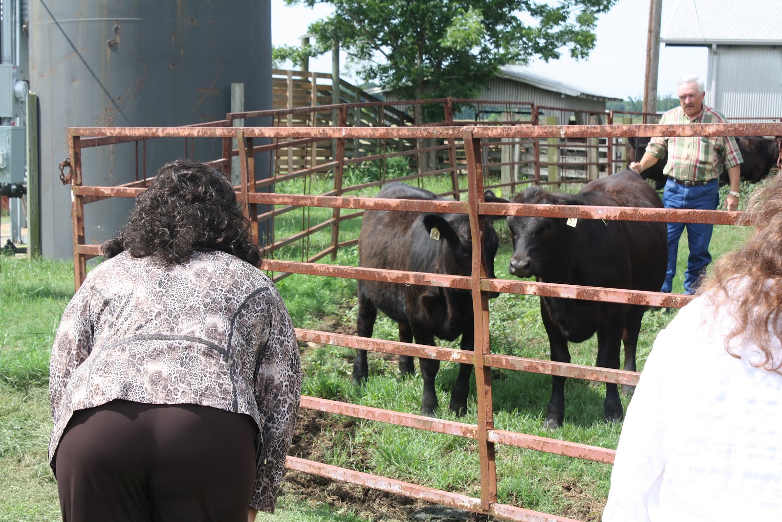 Beef Blog 2012 Beef Month Update