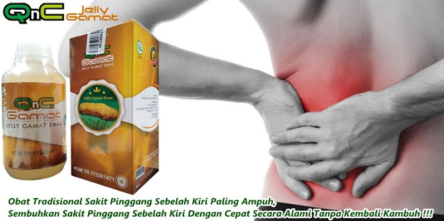 Obat Tradisional Sakit Pinggang Sebelah Kiri Paling Ampuh Obat Tradisional Sakit Pinggang Sebelah Kiri