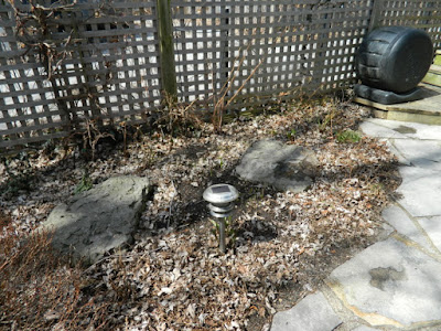 Leslieville Back Yard Spring Cleanup Before by Paul Jung--a Toronto Organic Gardener Leslieville Back Yard Spring Cleanup Before by Paul Jung--a Toronto Organic Gardener