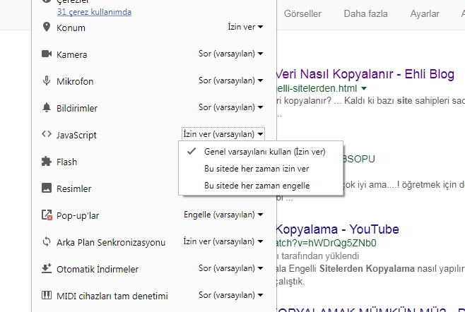 Bir site sayfasını tüm içeriği ile nasıl kopyalarım Bir site sayfasını tüm içeriği ile nasıl kopyalarım