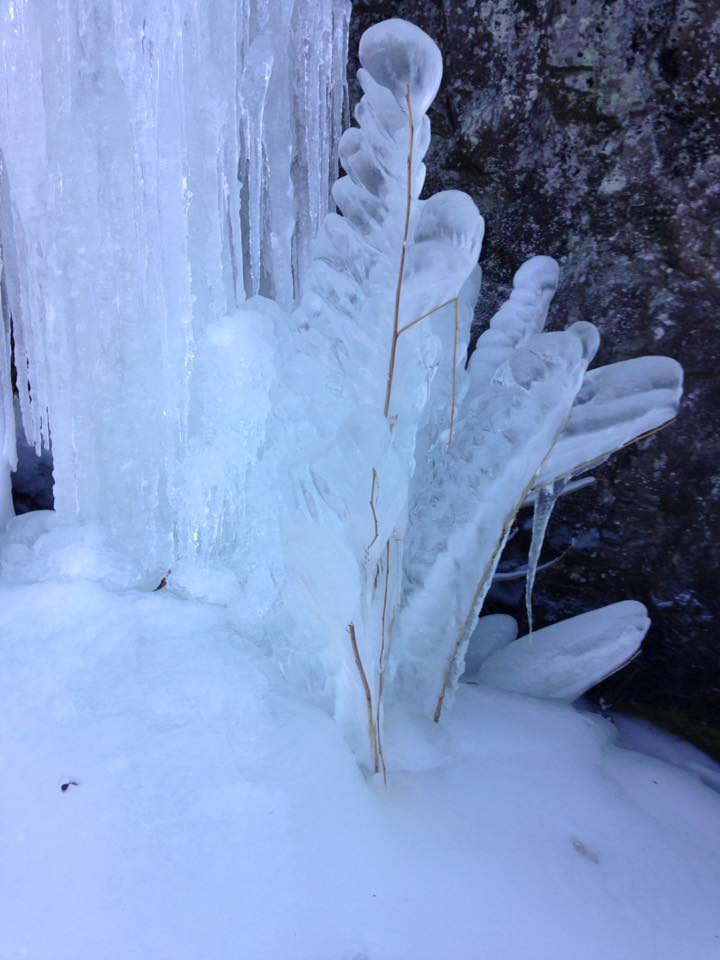 Ice Climbing in Japan 相沢3回目