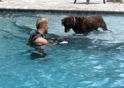 Underwater dogs