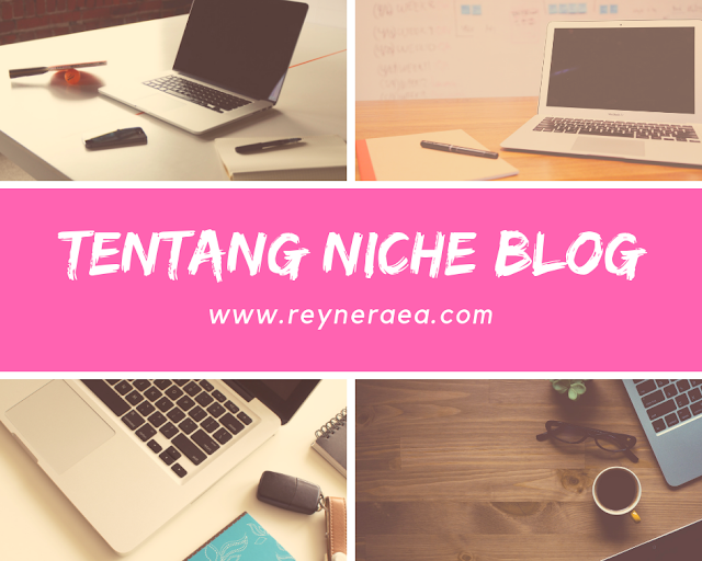 tentang niche atau tema blog