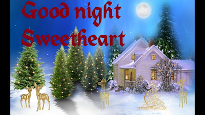 good night good night
