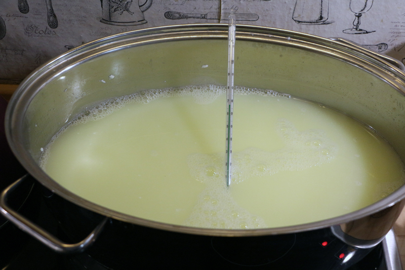 Ricotta