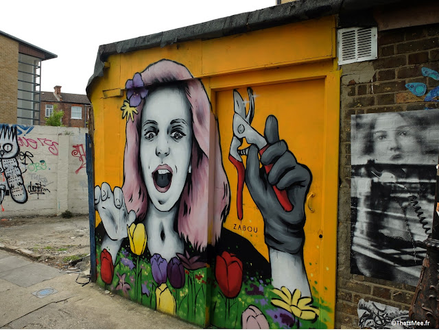 Graffiti street art  Zabou femme qui jardine woman gardening, Hackney Farm à Londres