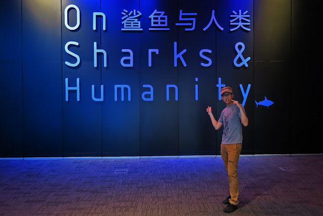 On Sharks and Humanity (9 Mar 2016 - 26 Jun 2017)