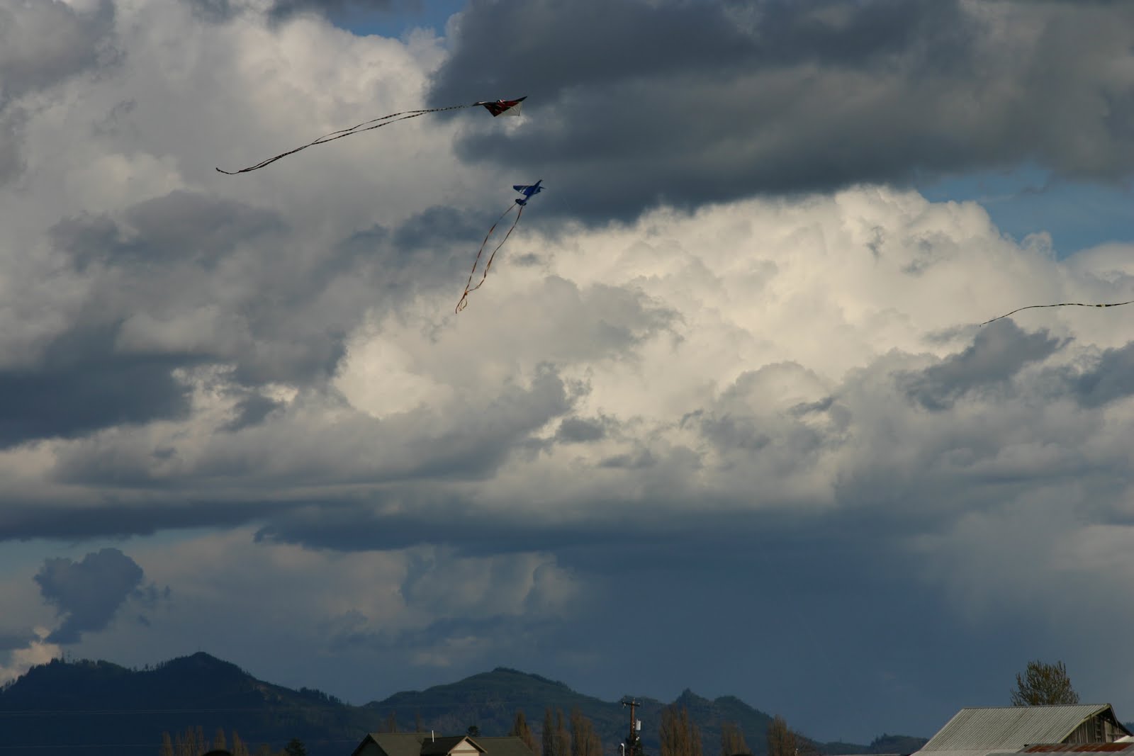 101 Uses for a Cardboard Box Spring Refresh
