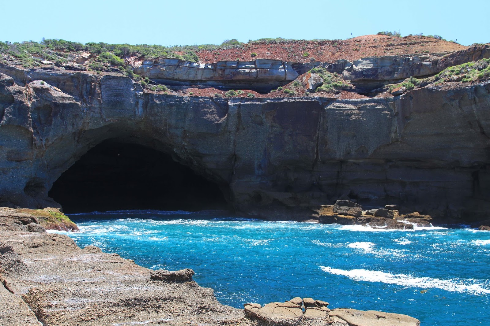 awildland The Magic of Munmorah State Conservation Area, NSW
