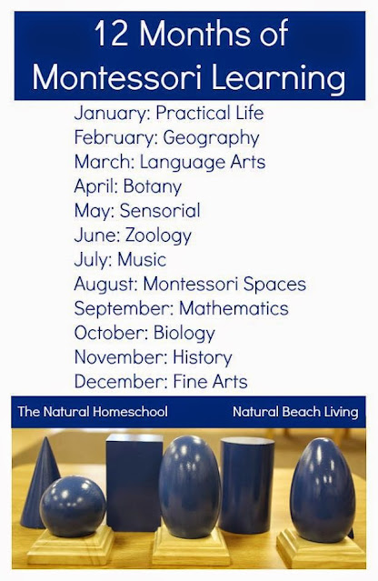 12 Months of Montessori Learning