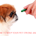 PET MEDICINE TO KEEP YOUR PET STRONG AND HEALTHY PET MEDICINE TO KEEP YOUR PET STRONG AND HEALTHY
