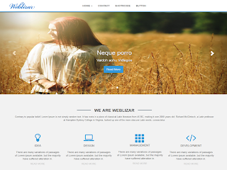 Screenshots of Weblizar the for WordPress Theme Responsive