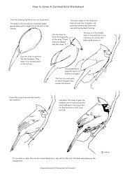 drawing cardinal draw worksheet bird drawings worksheets birds easy lessons upside down painting realistic cardinals sketches tutorial steps paintingvalley explore