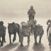 27 Rare Pictures of the First Australasian Expedition to Antarctica in 1911