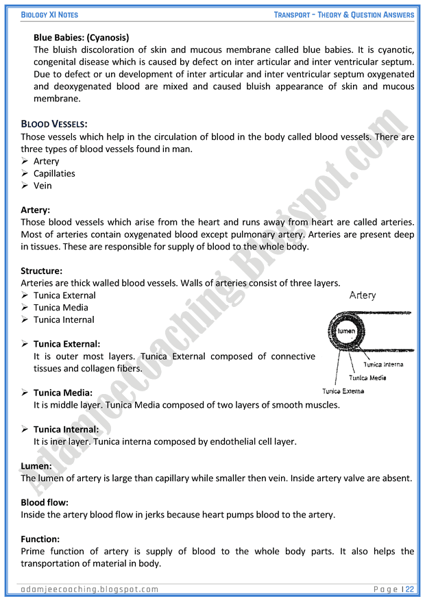 transportation-descriptive-question-answers-biology-11th