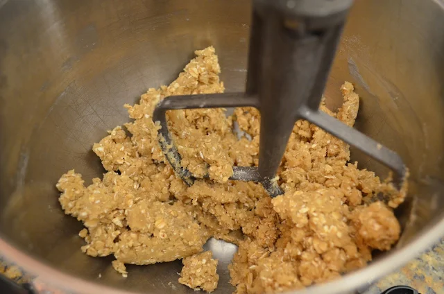 Oatmeal-Turtle-Bars-Mix.jpg