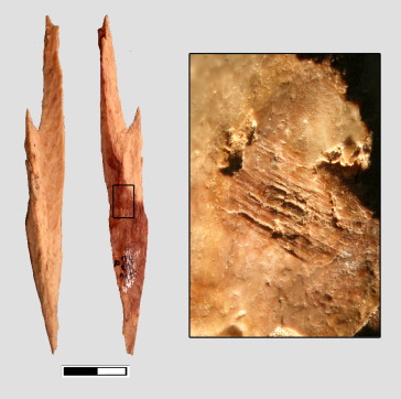 Evidence of cannibalism found in Mesolithic Spain Evidence of cannibalism found in Mesolithic Spain