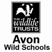 AWT Wild Schools blog