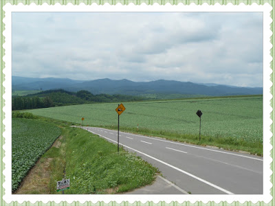 Patchwork Road Scene in Biei 2 Patchwork Road Scene in Biei 2
